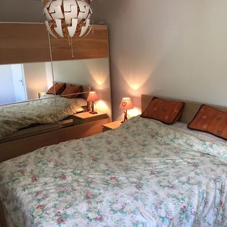 Appartement Face Aux Glaciers & Mont-Blanc