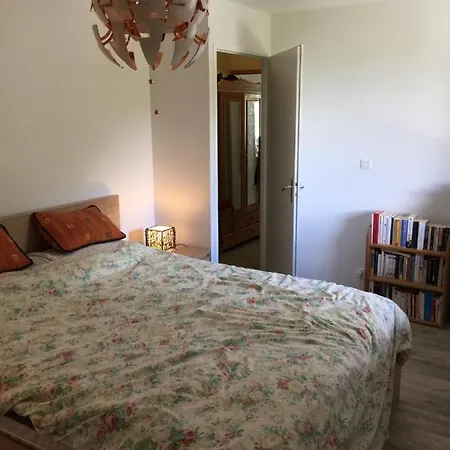 Appartement Face Aux Glaciers & Mont-Blanc *