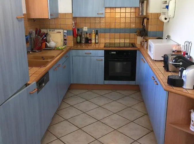 Face Au Mont Blanc & Glaciers 公寓 *