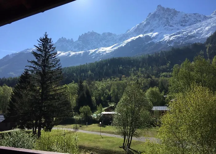 Appartement Face Au Mont Blanc&glaciers *
