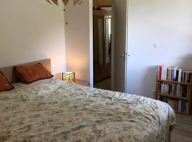 Face Au Mont Blanc&glaciers *